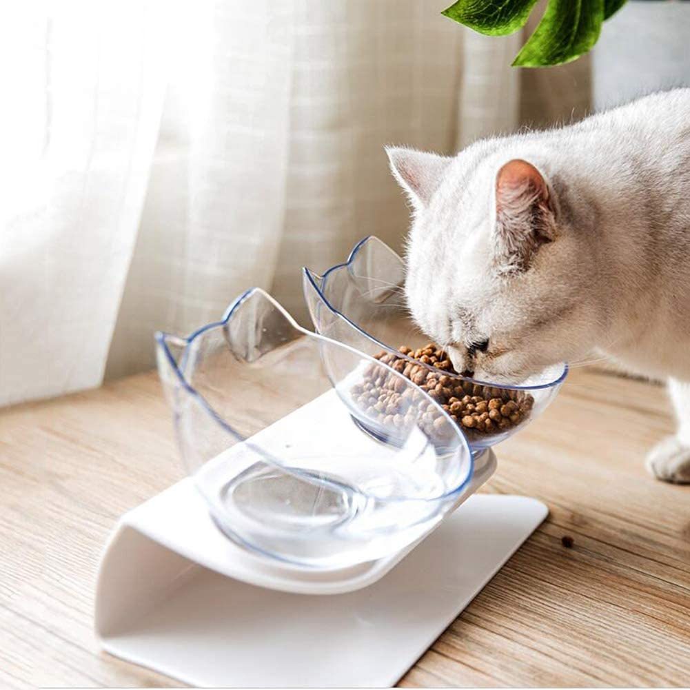Bol Double Transparent Incliné 15° pour Chats et Chiens – Support Antidérapant et Confort Ergonomique