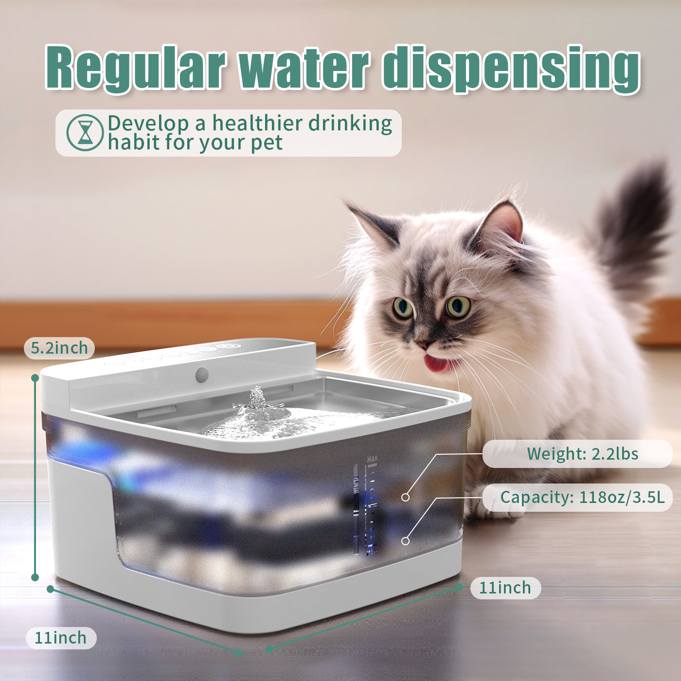 🌟 Distributeur d’Eau Filtrante pour Animaux – Hydratation Pure et Saine